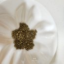 둔전한의원 | 출산 후 다이어트 후기 : 감비환 골드로 5kg 감량 성공! 내돈내산 리얼 리뷰