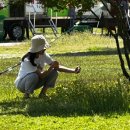 황산공원 캠핑장 오토사이트 이미지