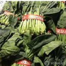 바미메디칼 네이버블로그