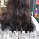 헤나는 염색일까? 코팅 일까? 헤나염색머리 파마 잘하는 방법? 이미지