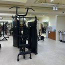 트레이너가 채식을 하게 된 이유 | 바디프로필 체형 교정에 진심인 여자 트레이너 있는 이태원PT 이태원 헬스장 "인서울핏"