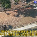 다모아농장 이미지