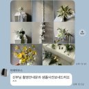 큐티하우스 | 웨딩촬영 후기 | 천안아산 마레하우스 스튜디오 촬영 꿀팁 총정리