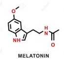 멜라토닌 효과 효능 알려 드려요 이미지