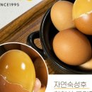 참참떡볶이