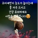 인생만족