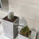 팔선농장 네이버블로그
