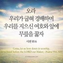 우리를 지으신 하나님 앞에 무릎을 꿇자(시 95:1-11) / 김창환 목사 이미지