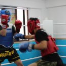 은평 삼산체육관 이미지