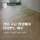 대우그린타워 | 셀인카페에서 한눈에 반한 그 마루_청담 대우 유로카운티 40평