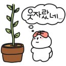 플렌케
