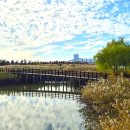 남악수변공원 이미지