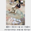 구미대로-33 | 홈플러스 문화센터 문화데이 원데이, 33개월 아기랑 쿠킹 미술클래스