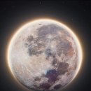 더블루문 - 수성구 | 더블루문