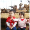 세은농장 이미지