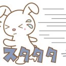 우사기짱