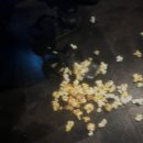 요셉동물병원 이미지