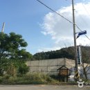 그린티하우스 이미지