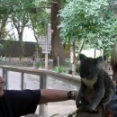 스테이사암 | 블루마운틴 투어 2월 3월 날씨 옷 준비물