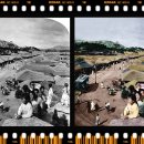 컬러사진으로 재현한 100년 전 서울 풍경 이미지