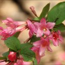 기계봉좌마을 이미지