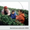 한골농장 이미지