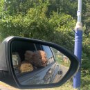 뽀아 하우스 이미지