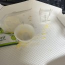 갈릭갱스터 | 언주역맛집 언주역배달 <갱스터피자> 반반피자 후기