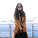 소유