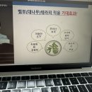 셀리 헤어아트 | 2024 피부미용 위생교육 답 96점 후기