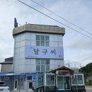 달구씨 이미지