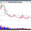 삼보약품 이미지