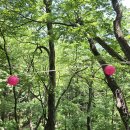 대승사 | 문경 대승사와 부속 암자 순례 2