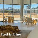 레드(RED)셀프세차장 | 강원도 고성 카페 레드인블루, 분위기 좋은 아야진해변 베이커리 맛집 후기