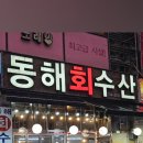 야탑맛집 동해회수산 달달 꼬들 도다리회 후기