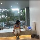 캣스쿨 | 치앙마이 아이와 가볼만한곳｜님만해민 캣카페(Mali Cat Cafe, 고양이 좋아하는 아이라면 강추!