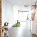 더예쁘개 이미지