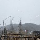 #5 땅콩커플 데이트