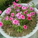 주변 사거리 이미지