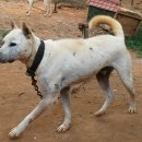 창용농장 이미지