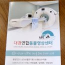 대경연합동물영상센터 이미지