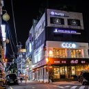 신사동스케줄