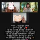 소울펠리시티