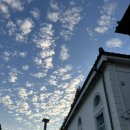 제일사료주식회사 | [군산]초원사진관 스탬프투어 후기!