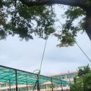 도봉초병설 이미지