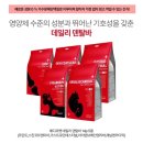 짝궁펫 네이버블로그