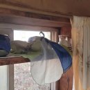 땅끝편백펜션민박 | 강화도 두꺼비흙집펜션/장화리일몰조망지: 구들장에 뜨끈하게 지지고 노을 보기