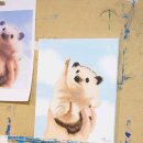 강남-283 이미지