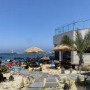 바당쿰다 이미지