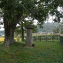 대농리마을회관 이미지